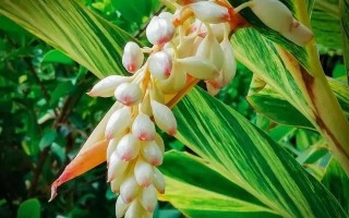 赠别.娉娉袅袅十三余